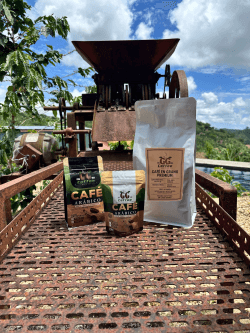 Café artesanal de GG Coffee Brew Co. en fincas puertorriqueñas, destacando granos de alta calidad.