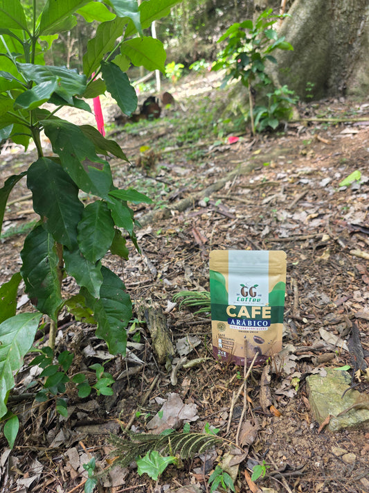 Mini GG BREW 2oz ground coffee
