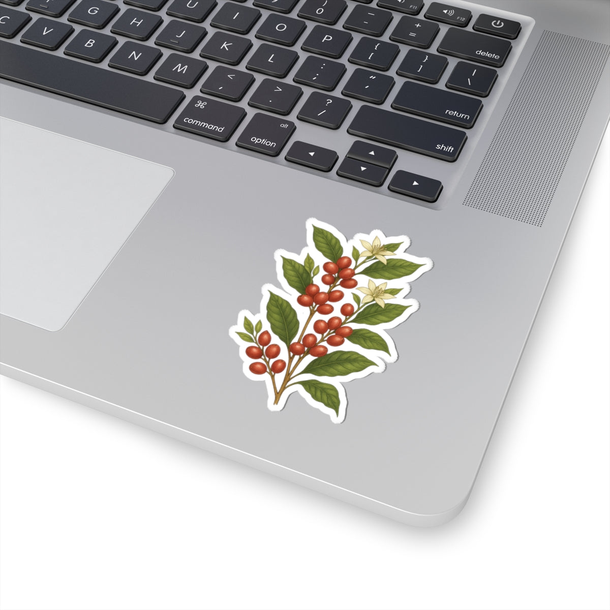 Botanical coffee plant sticker on a laptop, adding nature-inspired decor for coffee lovers.